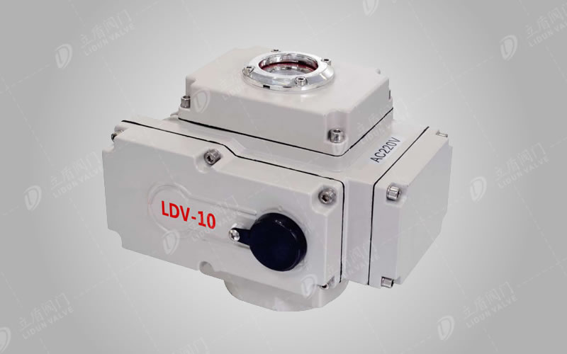 電動執(zhí)行器（精小型）LDV-10