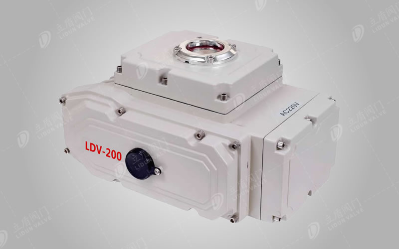電動執(zhí)行器（精小型）LDV-200